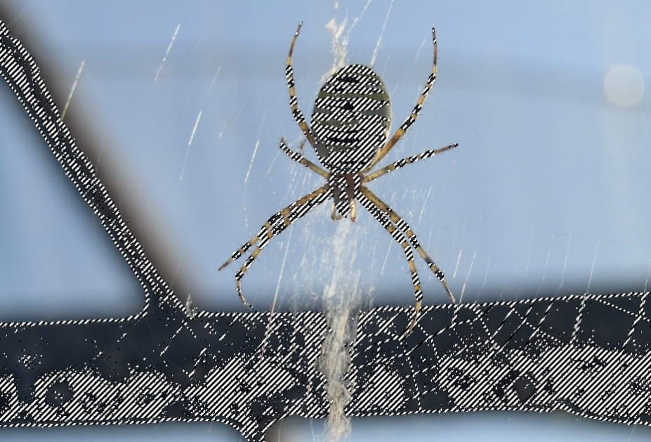 Как отменить выделение в gimp